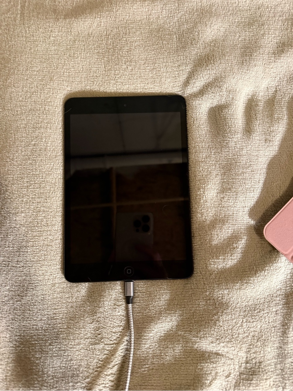 Apple iPad Mini (1st Generation) in Space Gray with Case